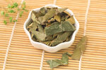 中药材 枇杷叶