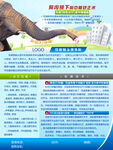 耳鼻喉头颈外科及鼻中隔矫正术介