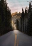 公路