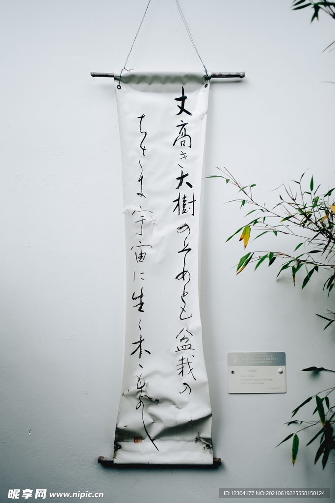 字画