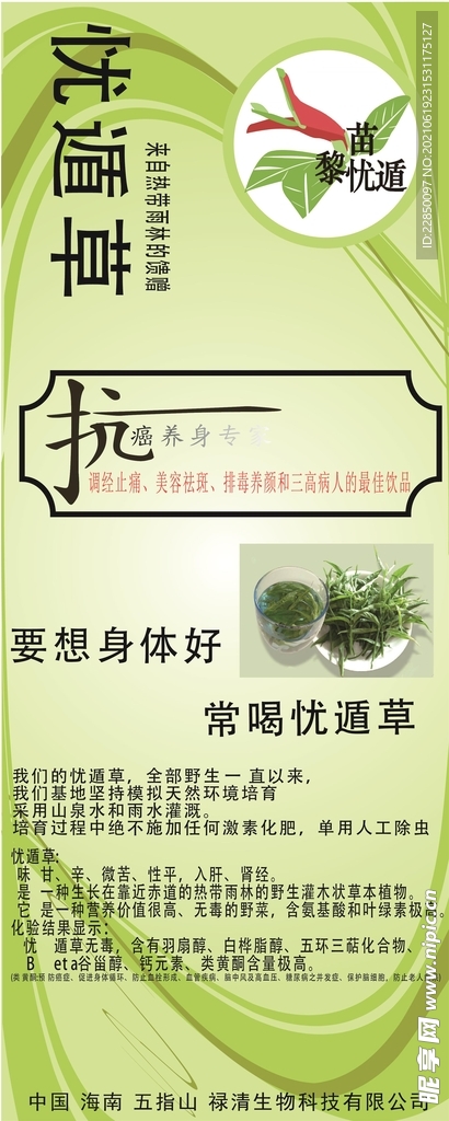 忧遁草海报