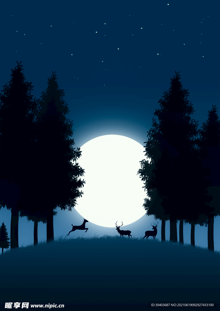 静谧夜晚风景插画