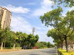 城市公路