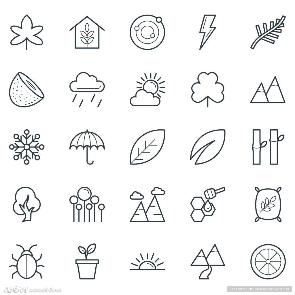 植物icon