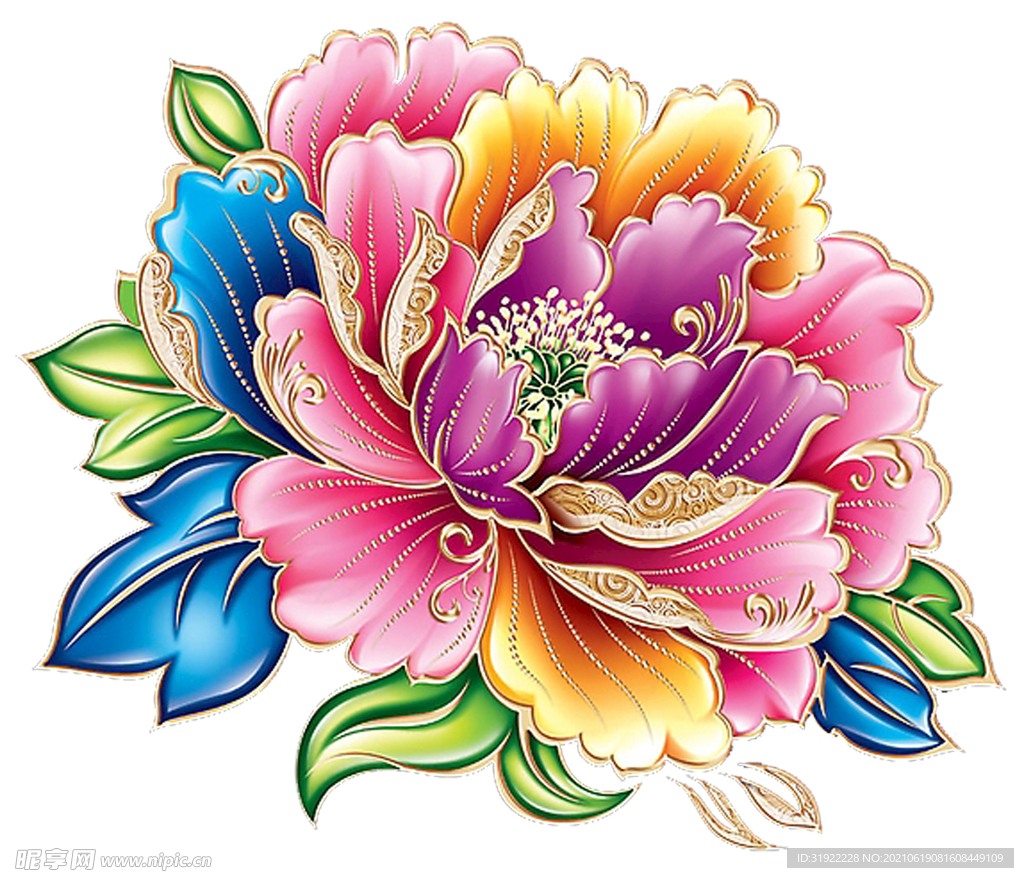 牡丹花