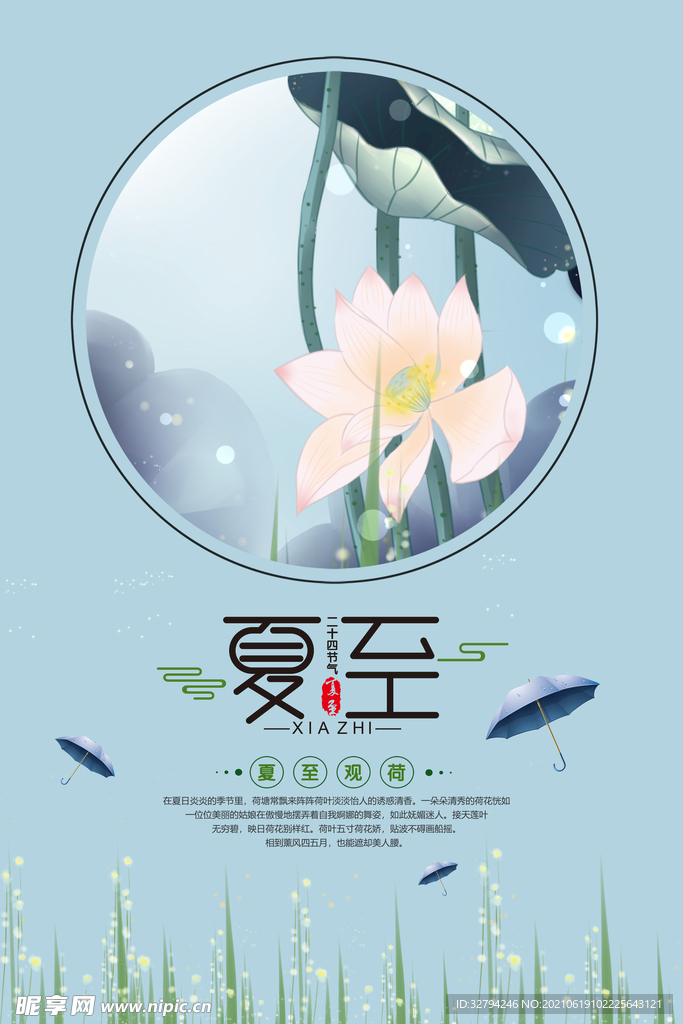 夏至观荷