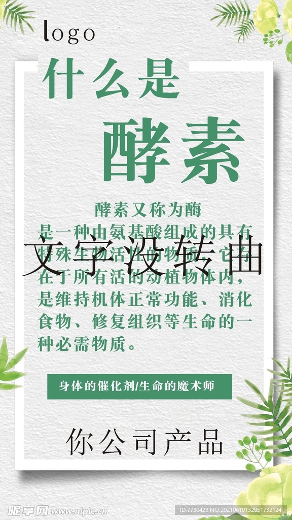 什么是酵素