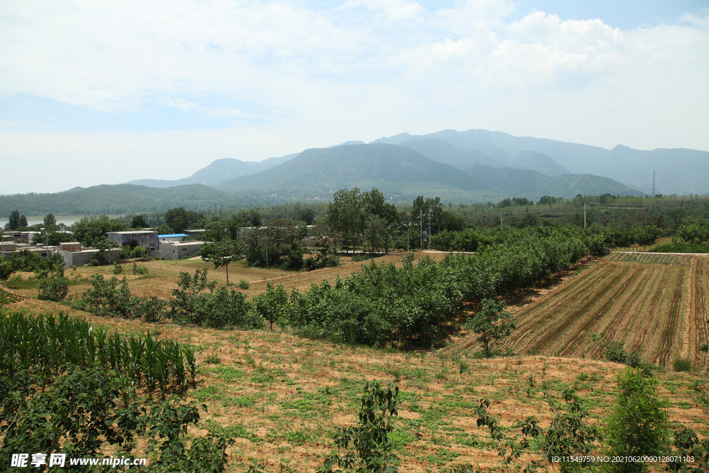 嵩山夏季风光