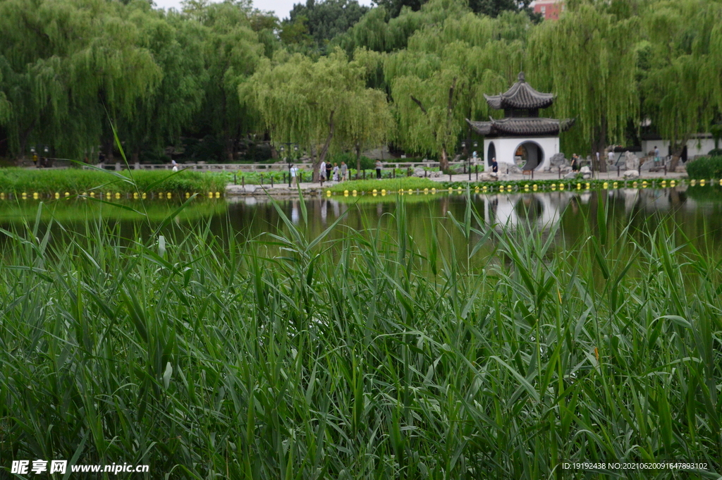 园林风景