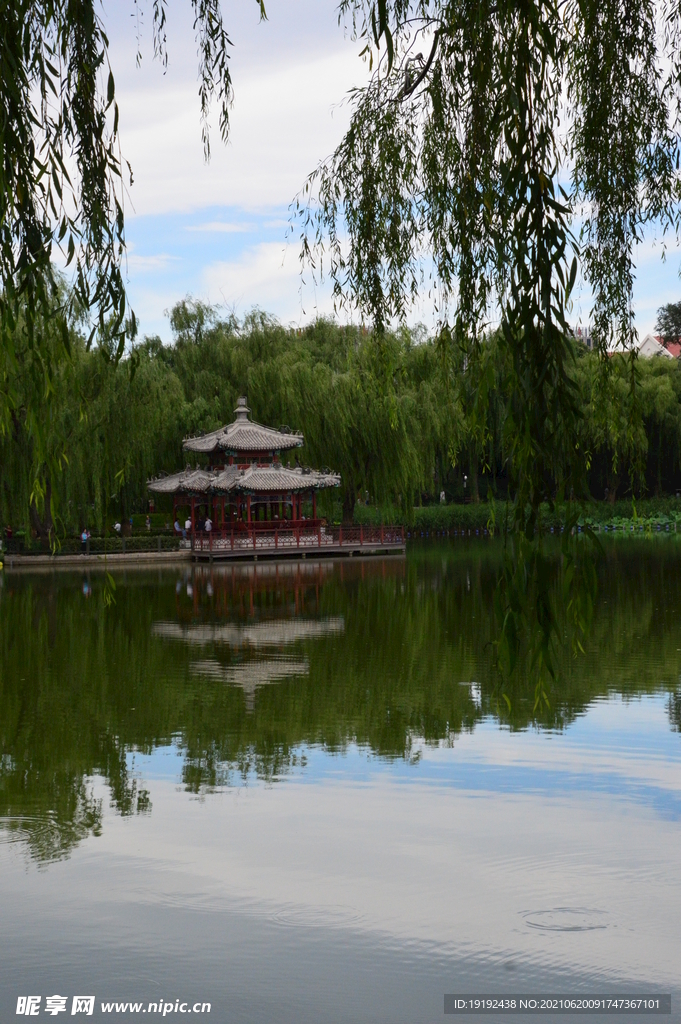 园林风景