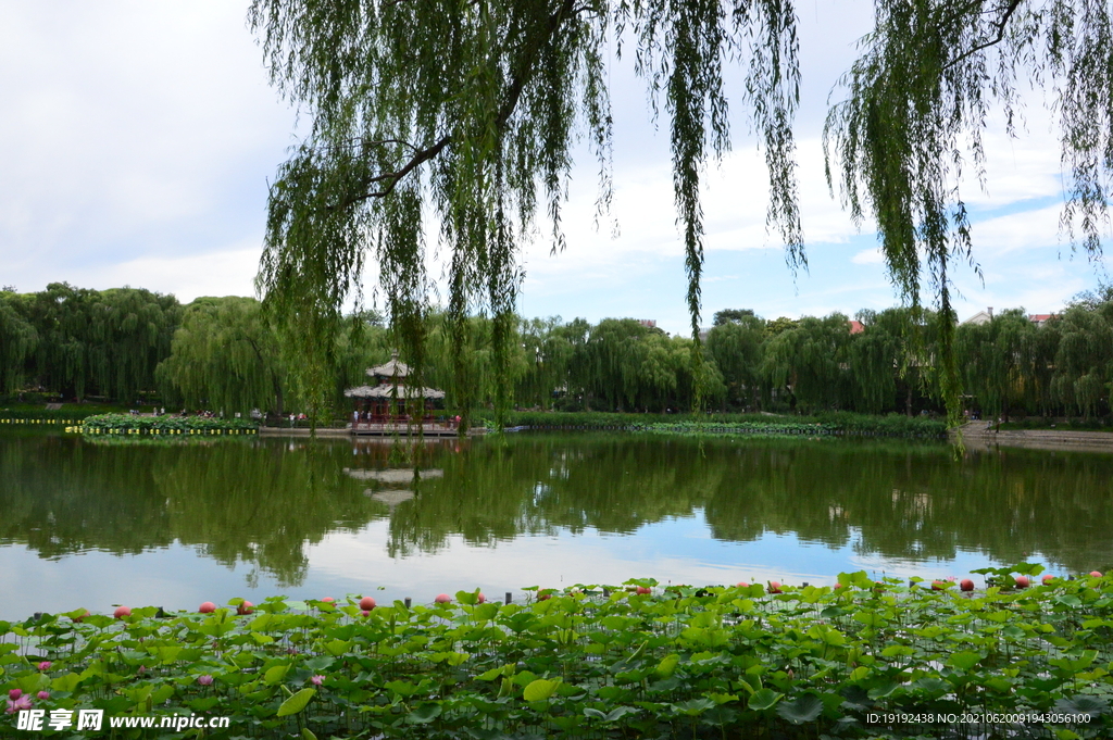 园林风景 