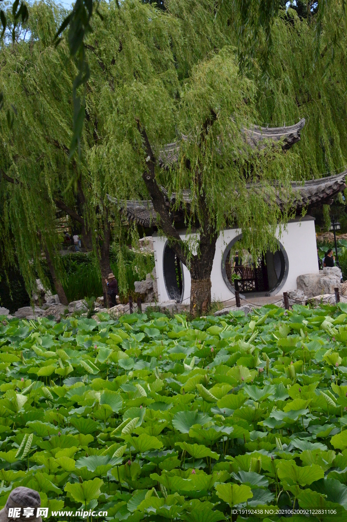 园林风景 