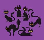 万圣节黑猫