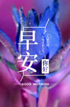手机海报
