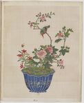 小花