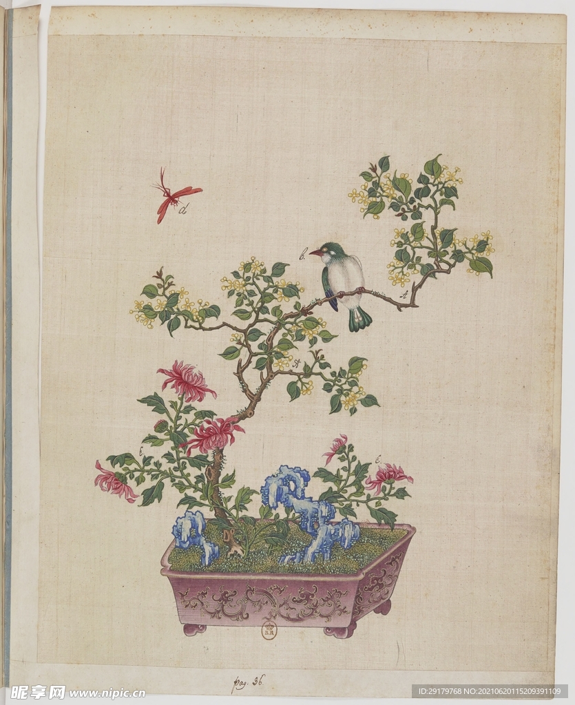 植物