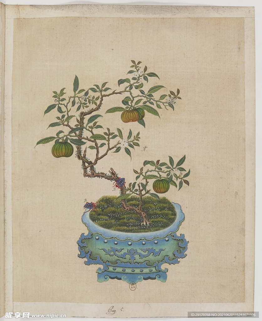 小花
