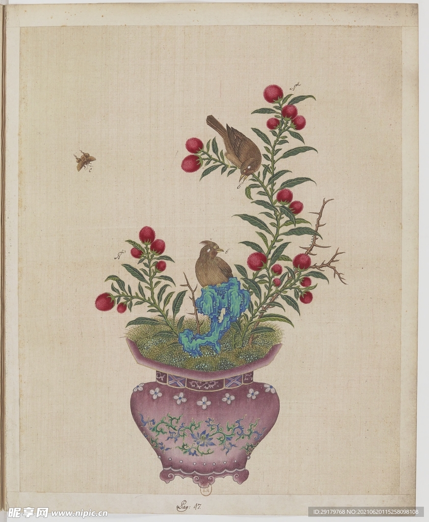 碎花