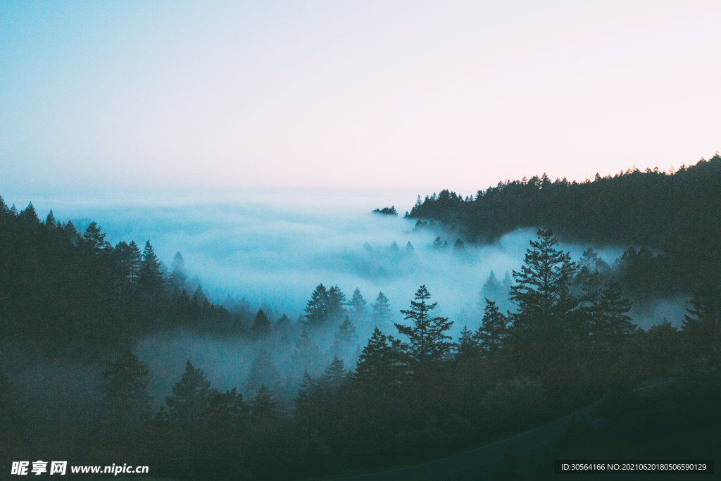 云雾森林自然景观背景素材