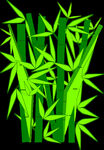 竹子 图片 竹叶 png  手