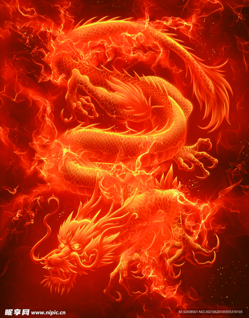 龙  大牌
