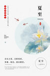 二十四节气夏至