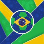 巴西世界杯主题