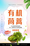 茼蒿