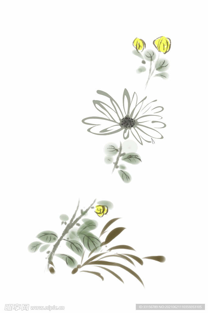 菊