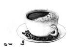 咖啡  插画  素描