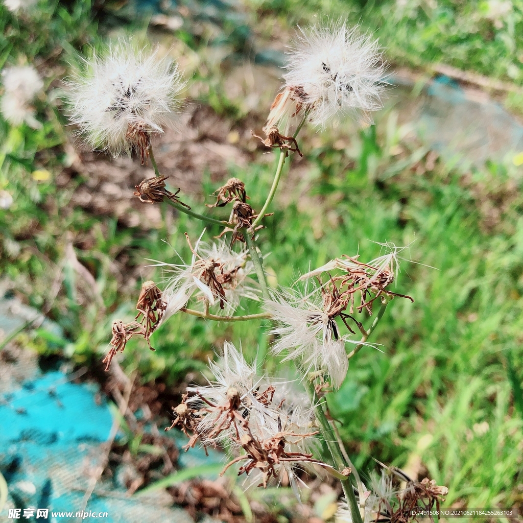 飞翔