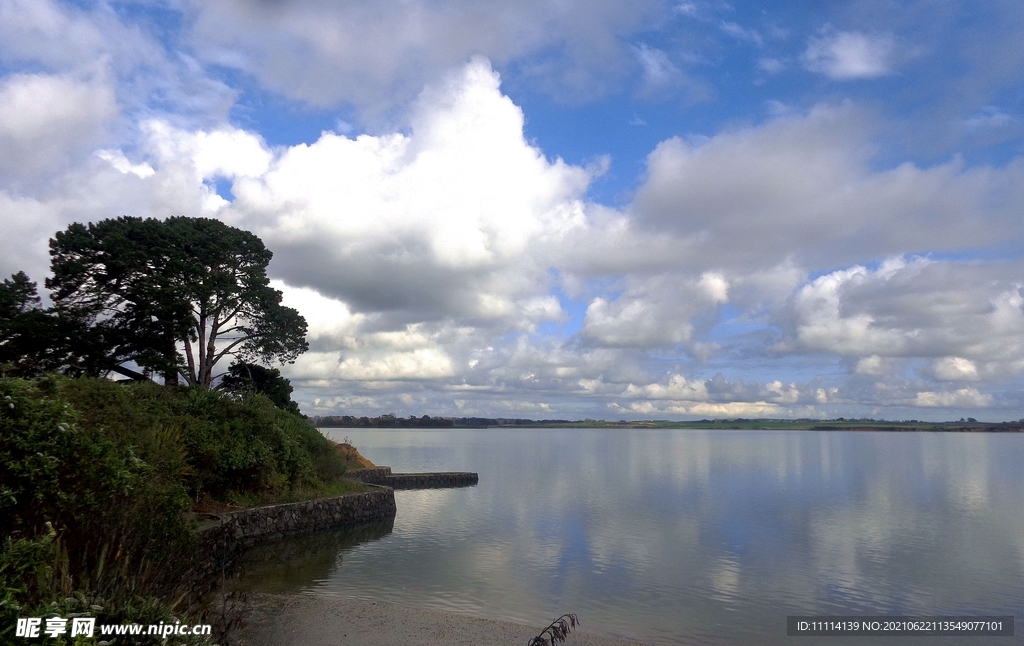 奥克兰海滨自然风景