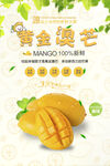 黄金澳洲芒果促销宣传海报