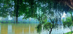 暴雨之后的江畔风景