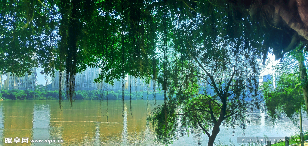 暴雨之后的江畔风景