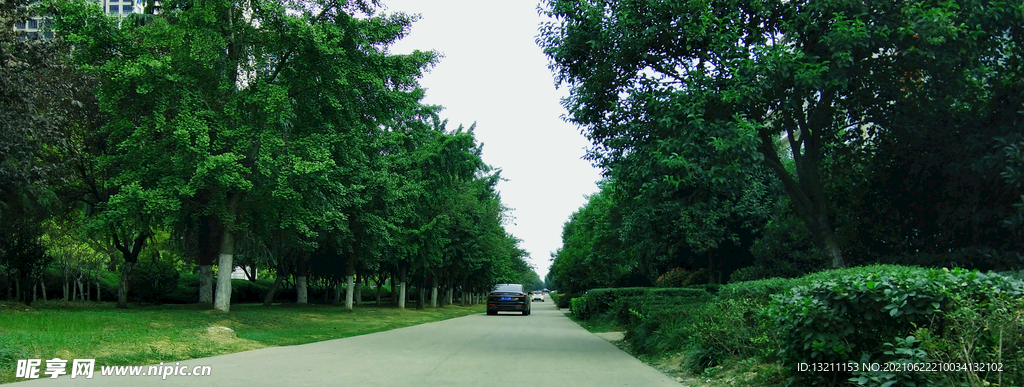 林间公路