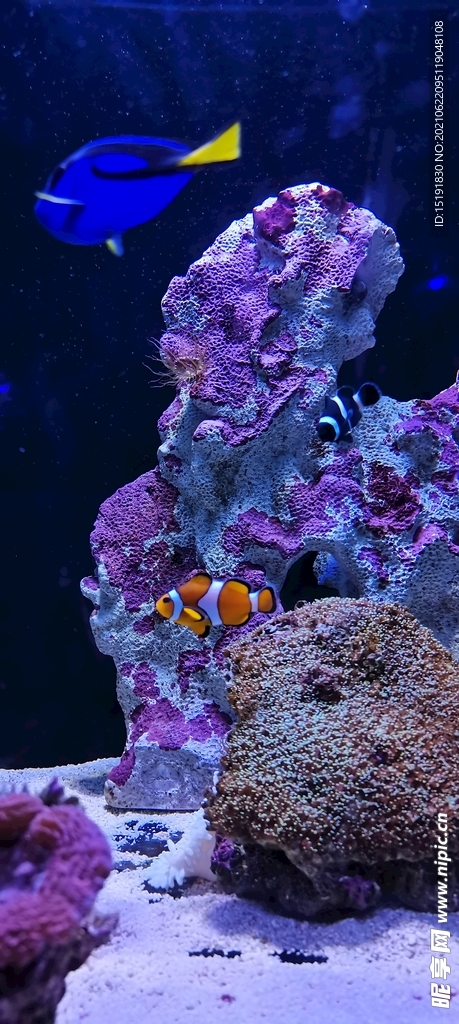 海底世界