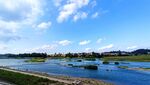 盛夏