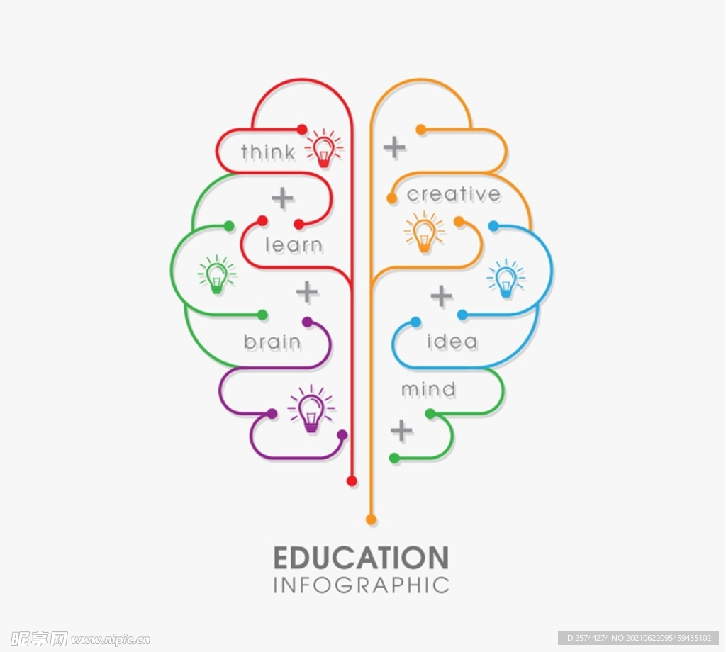 大脑教育信息图