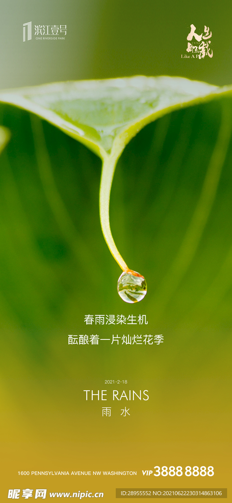 雨水