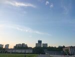 城市