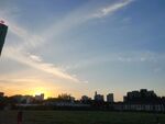 城市