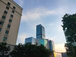 城市