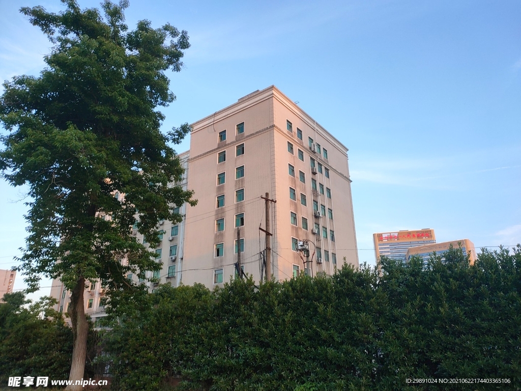 城市