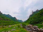 风景