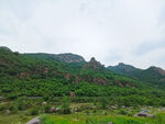 风景