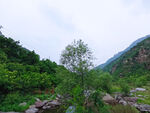 风景