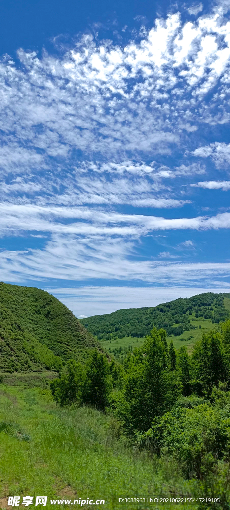 风景