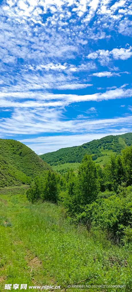 风景