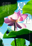 夏至节气海报